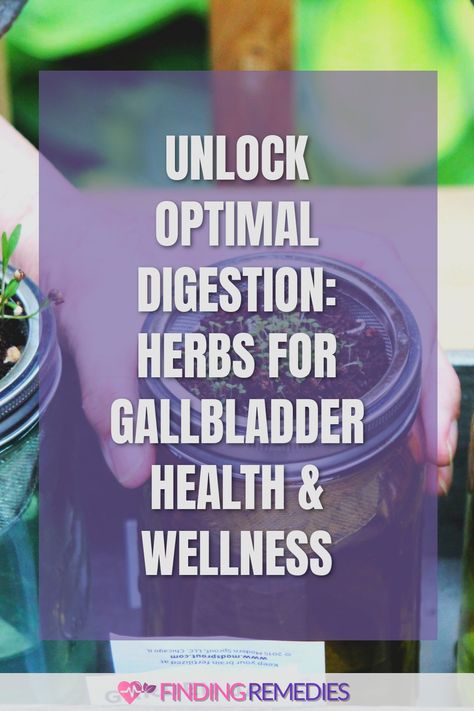 Unlock Optimal Digestion: Herbs for Gallbladder Health & Wellness Herbs For Gallbladder, Gallbladder Function, Gallbladder Health, Benefits Of Herbs, Herbal Therapy, Digestive Issues, Healing Herbs, Healthy Digestion, Healing Powers