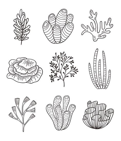 Coraux Et Algues Minimalistes. Dessin Au... | Premium Vector #Freepik #vector #main #nature #dessines-main #griffonnage Coral Reef Line Drawing, How To Draw Coral, Coral Drawing Simple, Sea Coral Drawing, Under The Sea Drawings, Nature Doodles, Coral Reef Drawing, Coral Tattoo, Coral Drawing