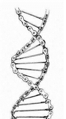 Bike chain dna Cycling Tattoo, Wing Tattoo Men, Truck Tattoo, Dna Tattoo, Bicycle Tattoo, Chain Tattoo, Motorcycle Tattoos, Bike Tattoos, Tasteful Tattoos