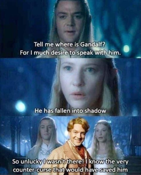 Lotr Funny, Funniest Memes, Gandalf, Me Too Meme, Harry Potter Funny, Harry Potter Memes, Middle Earth, The Rings, Lord Of The Rings