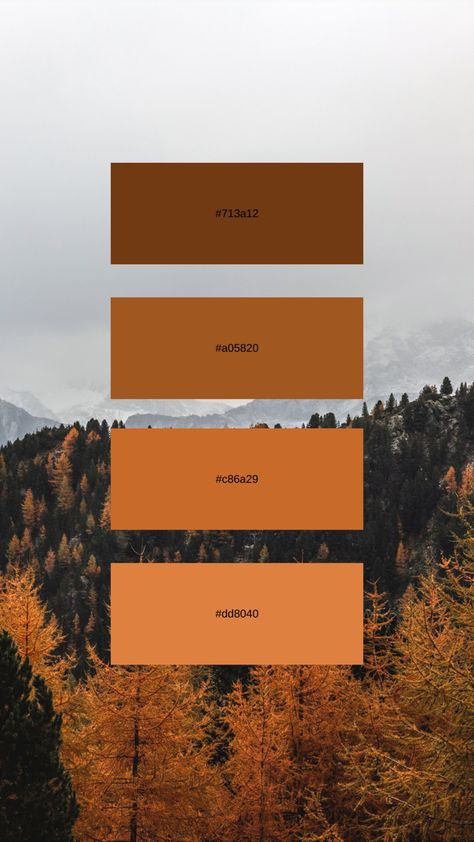 Burnt Orange Color Swatch, Burnt Orange Pallet, Rustic Orange Color Palette, Rust Brown Color Palette, Burnt Umber Color Palette, Brown Orange Color Palette, Orange Brown Color Palette, Cinnamon Color Palette, Rust Orange Color Palette