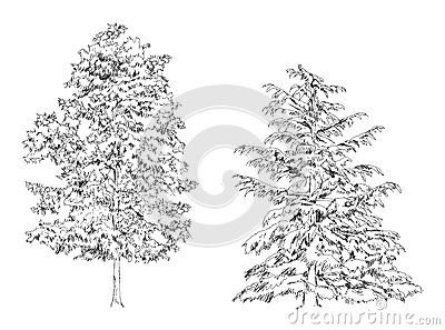 Birch Tree Drawing Simple, Birch Tree Drawing, Tree Drawing Simple, About Trees, Draw Realistic, Drawing Simple, Sketch Illustration, Tree Drawing, Birch Tree