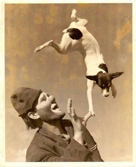 Vintage Circus Photos, Old Circus, Man And His Dog, Circus Vintage, Toy Fox Terriers, Rat Terriers, Vintage Circus, Poses References, Foto Art