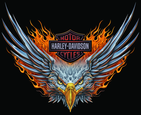 harley-davidson shield tattoo for woman | ... .bullgallery.com/2012/09/download-7-harley-davidson-eagle-logos.html Art Harley Davidson, Logo Harley Davidson, Harley-davidson Sportster, Tatoo 3d, Harley Tattoos, Harley Davidson Crafts, Harley Davidson Quotes, Harley Davidson Images, Harley Davidson Eagle