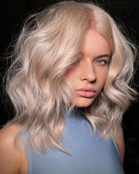 Champagne Blonde Vs. Ash Blonde: A Quick Guide Crisp Blonde Hair, Champagne Blonde Hair With Money Piece, All Over Blonde Vs Highlights, Short Champagne Blonde Hair, Platinum Champagne Blonde, Champagne Color Hair, Shades Eq Champagne Blonde Formula, Cool Champagne Blonde Hair, Light Champagne Blonde Hair