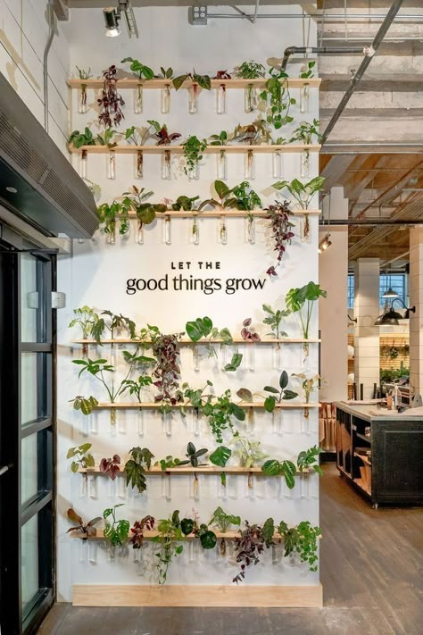 Flower Shop Interiors, Plant Business, Flower Shop Design, Plant Store, Coffee Shop Ideas, Coffee Shops Interior, Magnolia Market, Plants Growing, Florist Shop