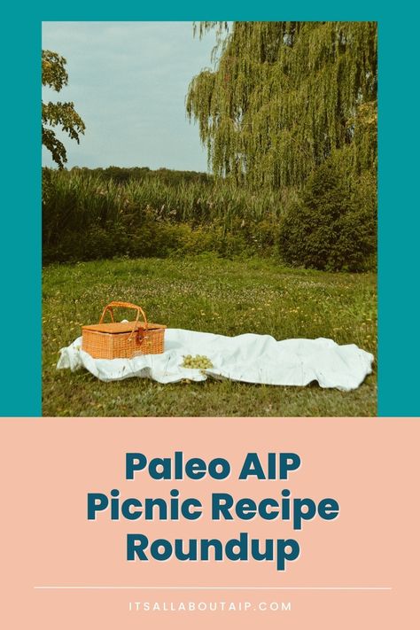 Aip Picnic Food, Aip Protocol, Kids Picnic, Savory Salads, Outdoor Gathering, Aip Paleo, Autoimmune Protocol, Aip Recipes, Picnic Food