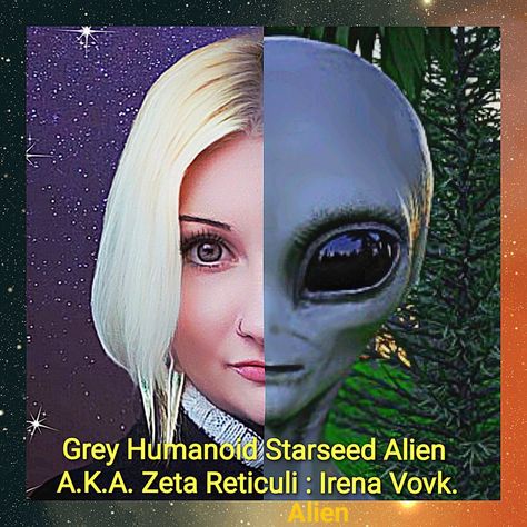 Alien Hybrid, Zeta Reticuli, Witch Mom, Divine Consciousness, Quantum Consciousness, Ufos Are Real, Energy Consciousness, Alien Species, Alien Face