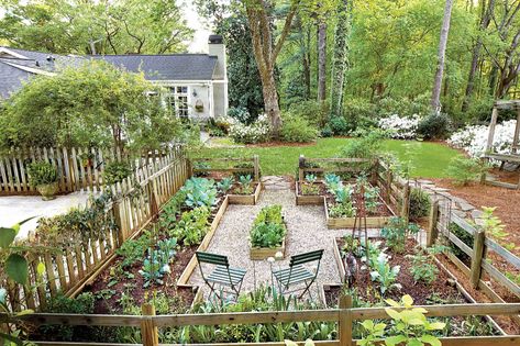 Yard with a Veggie Bed, Chicken Coop, and Fire Pit? You Bet. Raised Bed Garden Layout, Gardening Layout, Funny Vine, Garden Trains, Backyard Trees, Backyard Swings, Decoration Shabby, Garden Design Layout, Garden Types