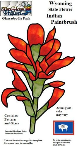 Indian paintbrush live in Texas too! Paintbrush Flower, Indian Paint Brush, Accuquilt Quilts, Brush Flower, Texas Crafts, Flower Quilt Patterns, Mosaic Jewelry, Mosaic Garden Art, Indian Paintbrush