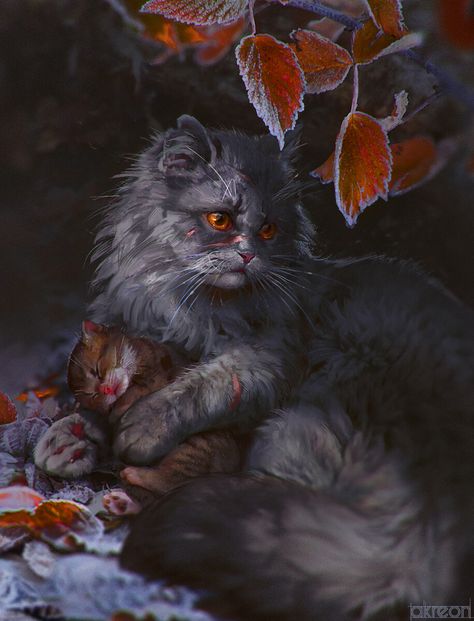 Warriors Erin Hunter, Warrior Cats Comics, Warrior Cats Series, Warrior Cats Books, Il Re Leone, Warrior Cats Fan Art, Warrior Cat Drawings, Love Warriors, Warrior Cats Art