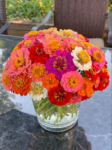 Zenia Flower, Bouquets With Zinnias, Zinnia Arrangements, Zinnia Flower Arrangements Vase, Zinnia And Cosmo Bouquet, Common Zinnia, Zinnia Symbolism, State Fair Zinnias, Orange Zinnia Flowers