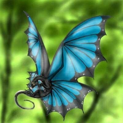 Butterfly Dragon So cute! Tattoo Dragon, Butterfly Dragon, Blue Morpho Butterfly, Fairy Dragon, Morpho Butterfly, Blue Morpho, Mythical Animal, Dragon Pictures, Dragon Fly