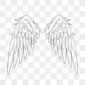 Angles Wings Drawing, Angel Wings Transparent Background, Angle Drawing Reference Wings, Wings Angel Drawing, Angel Wings Drawing Simple, Angel Wings Drawing Easy, Angel Wings Drawing Reference, Angel Wings Sketch, Angel Wing Outline