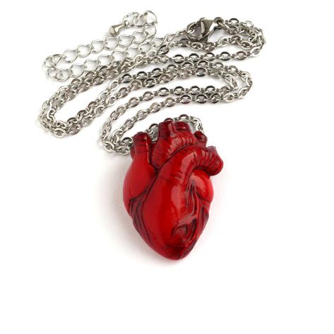 Anatomical Heart Necklace, Valentines Day Party Gift Idea, Medical Student Gift, Red Heart Clay Pendant With Stainless Steel Chain - Etsy Human Heart Necklace, Halloween Valentines Day, Anatomically Correct Heart, Anatomical Heart Pendant, Halloween Valentines, Heart Bottle, Anatomical Heart Necklace, Valentinstag Party, Halloween Pendant