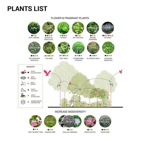 Gallery of Come on, Calm on / Shma - 19 Planting Strategy Landscape Architecture, Plant Palette Landscape Architecture, Landscape Analysis Diagram, Shma Landscape, Vegetation Analysis, Landscape Concept Diagram, Landscape Architecture Layout, Planting Concept, Landscape Mapping