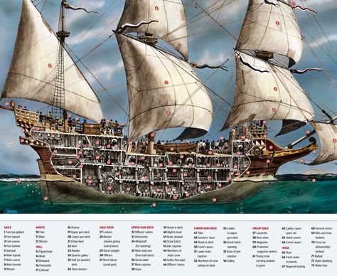 Spanish Armada, Navi A Vela, Pirate Queen, Old Sailing Ships, Ship Of The Line, Sailing Vessel, Naval History, Wooden Ship, Cross Section