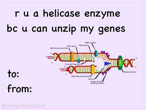 Biology Valentines Cards, Pick Up Lines Science, Biology Rizz Lines, Cursed Pickup Lines, Bad Valentines Cards Funny, Cursed Valentines Cards, Biology Valentines, Bio Jokes, Cursed Valentines