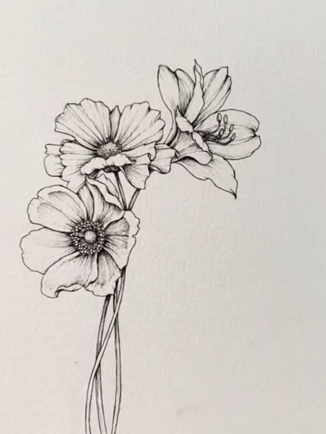 Pretty Flower Sketches, Pencil Floral Drawing, Crysentimum Flower Drawing, Cosmos Flowers Drawing, Fineliner Flowers, Ink Flower Drawing, A Flower Drawing, Drawing Ideas Inspiration, Flower Drawing Ideas