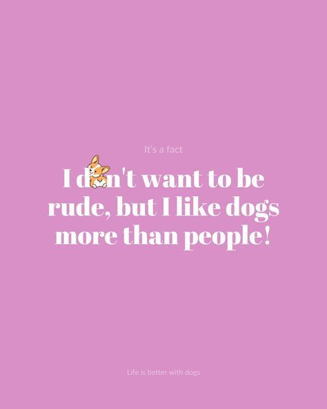 I don’t want to be rude, but I like dogs more than people!🫶🏻 What is your favourite fact about dogs? Let us know in the comments!😍 I Like Dogs, Dog Facts, About Dogs, Life Is Good, Good Things, Let It Be, Dogs, Quotes