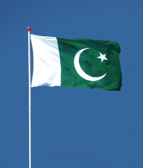 Aesthetic Pakistan, Pakistan Flag Wallpaper, Pakistan Flag, Flag Wallpaper, Doodle Images, Best Islamic Quotes, Flower Phone Wallpaper, Canada Flag, Eu Flag