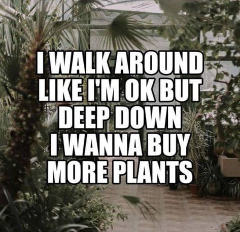 Gardening Sayings, Plant Humor, Plant Jokes, Gardening Memes, Garden Sayings, Plant Quotes, 2024 Quotes, Gardening Quotes, Gardening Humor