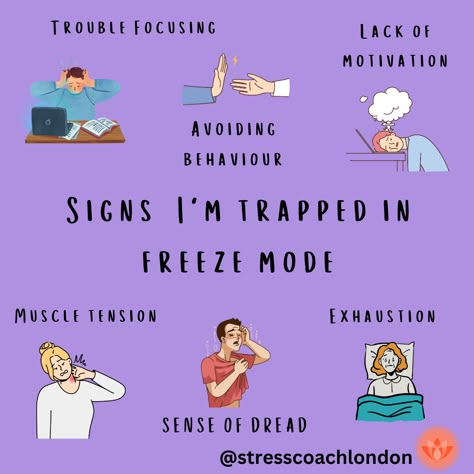 Freeze Response Symptoms, How To Get Out Of Freeze Mode, Stuck In Freeze Response, Disassociate Symptoms, Excessive Daydreaming, Stressed Reaction, Freeze Mode, Writer Ideas, Adult Bullies