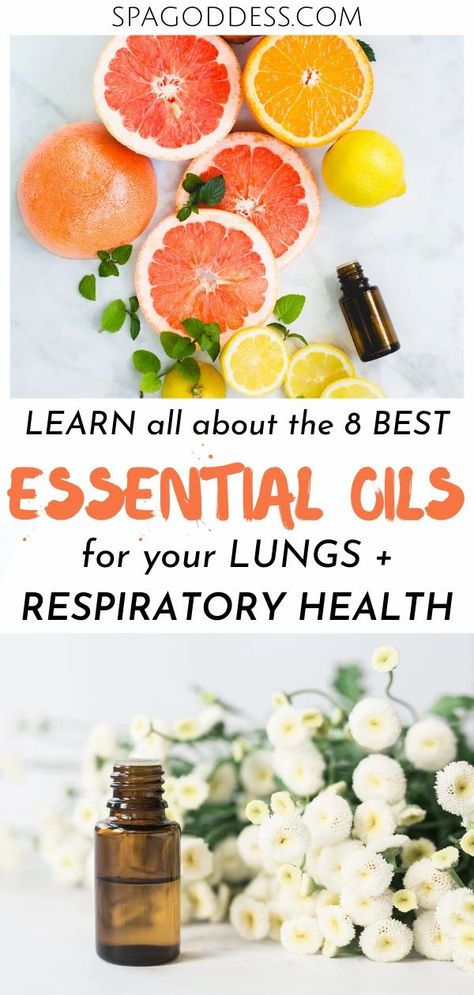 Essential Oils For Phlegm, Essential Oils For Phlegm Cough, Chest Cold Remedies Lungs, Cough Essential Oils, Essential Oils For Sinus Infection, Oils For Sinus Infection, Congestion Essential Oils, Diffuser Blends For Respiratory Support, Oils For Cough And Congestion