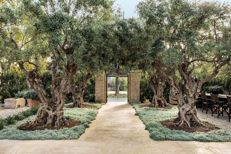 Landscape designer Christine London balanced elements of earthy wildness with appeasing symmetries throughout the estate's gardens and pathways. European Ambience, Mediterranean Yard, Mallorca Garden, Rose Tarlow Melrose House, Citrus Garden, Deck Seating, Trees Landscape, Estate Garden, Landscape Designer