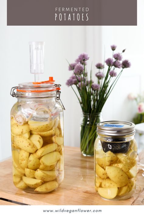 Lacto-fermented potatoes offer a better flavor and texture, while being easier to digest! Fermenting your potatoes in salted garlic brine dramatically improves the flavor of the potato while helping them become more tender in the center with a crispy skin. Lactofermentation Recipes, Fermented Potatoes, Fermented Dairy, Benefits Of Potatoes, Fermented Kimchi, Fermented Veggies, Raw Potato, Fermentation Recipes, Kimchi Recipe