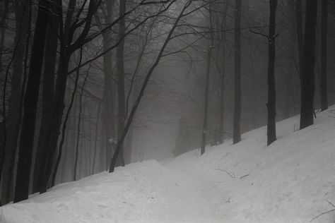 Winter At Night, Novel Aesthetic, Snow Forest, Forest Background, Snowy Forest, Night Forest, Dark Paradise, Dark Winter, Gothic Aesthetic