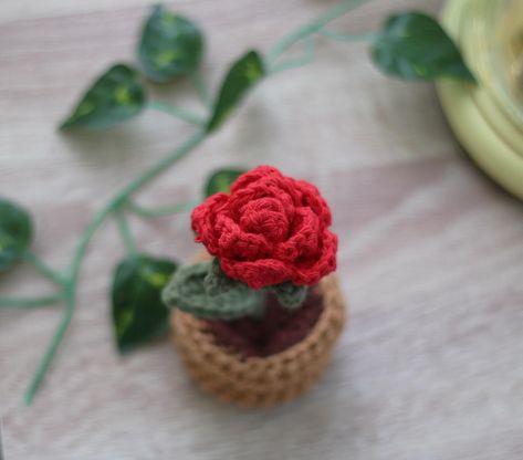 ✨Crochet potted rose 🌹✨ #crochet #rose #floral #pottedplants #pottedflowers #crochetplant #crochetflower #handmade #métis #metisartist #indigenousart #indigenousowned Rose Crochet, Crochet Rose, Crochet Flowers, Crochet, Floral, Quick Saves