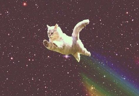 Galaxy Cat, Charcoal Drawings, Space Cat, Silly Cats, Crazy Cat Lady, 귀여운 동물, A Rainbow, Crazy Cats, Cat Lady