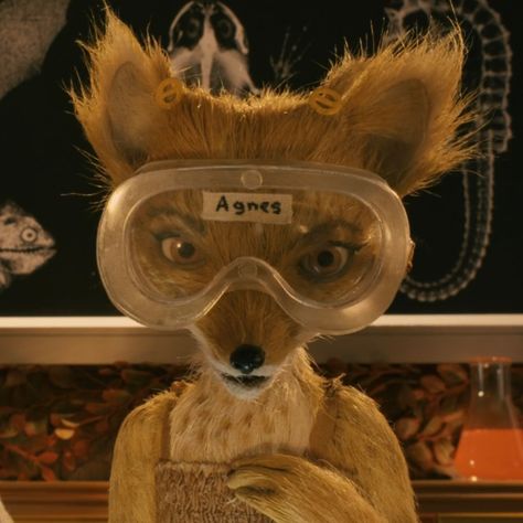 Agnes Fantastic Mr Fox Cosplay, Fantastic Mister Fox Movie, Mr Fantastic Fox Pfp, Fantastic Mr Fox Agnes, Fantastic Mr Fox Matching Pfp, Fantastic Mr Fox Pfp, Fantastic Mr Fox Ash, Fantastic Mr Fox Aesthetic, Fantastic Mr Fox Costume