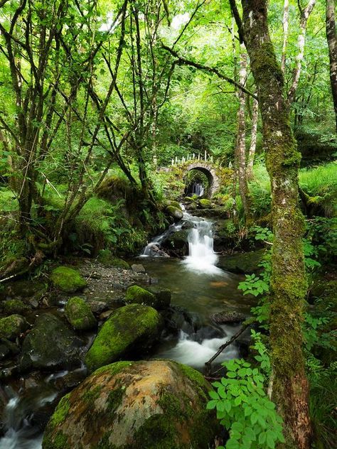 Meena's Tirith Fairy Bridge, Heaven On Earth, Nature Beauty, The Good Place, Bridge, Trees, Forest, History, Tumblr