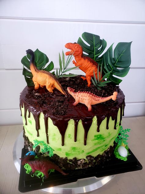 Volcano Cake, Dino Cake, Dinosaur Birthday Cakes, 3rd Birthday Cakes, Dinosaur Cake, Chocolate Drip, Oreo Cake, Wafer Paper, Unique Cakes