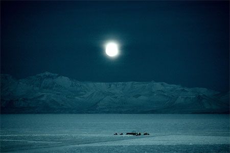 antarctica night | Antarctic Photo Library: Images of Antarctica Antarctic Aesthetic, Antarctica Aesthetic, Antarctica Night, Antarctic Ocean, Antarctic Research Station, Antarctica Landscape, Antarctica At Night, Antarctica Research Station, Antarctica Expedition