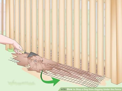 How to Stop a Dog from Digging Under the Fence: 8 Steps How To Keep A Dog From Digging Under A Fence, Stop Dog From Digging Under Fence, Dog Proof Fence Digging, Stop Dog Digging Under Fence, Keep Dogs From Digging Under Fence, Under Deck Dog Area, Dog Digging Under Fence, Dog Window In Fence, Dog Proof Fence