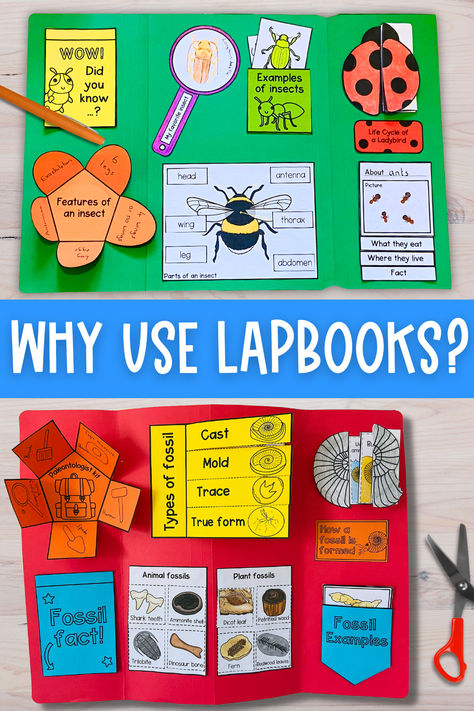 Are you looking for a fun and interactive way to enhance science learning in the classroom or for homeschool? You need to try science lapbooks! Science lapbooks are a hands-on way for children to organize their learning, and create a useful reference tool on a particular topic. Read this blog post to find out more about how using lap books as part of your science activities and lessons can benefit students. Science Lapbooks, Lap Books, Toddler Curriculum, Kids Art Galleries, Science Learning, Primary Science, Science Skills, The Worksheet, Dinosaur Bones