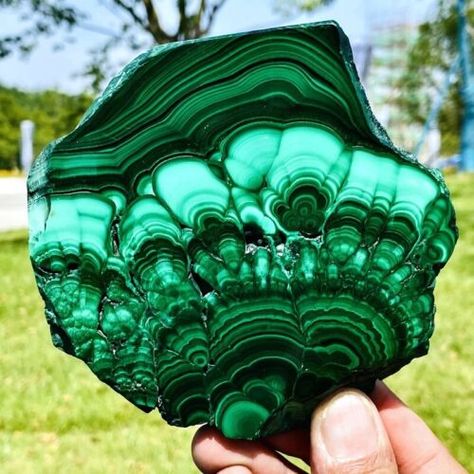 ad eBay - Find many great new & used options and get the best deals for 490g Natural malachite slices quartz crystal mineral specimens reiki healing at the best online prices at eBay! Free shipping for many products! Malachite Green, Pretty Crystals, Raw Gemstones Rocks, Malachite Jewelry, Malachite Stone, Love Natural, Natural Minerals, Raw Gemstones, Lush Green