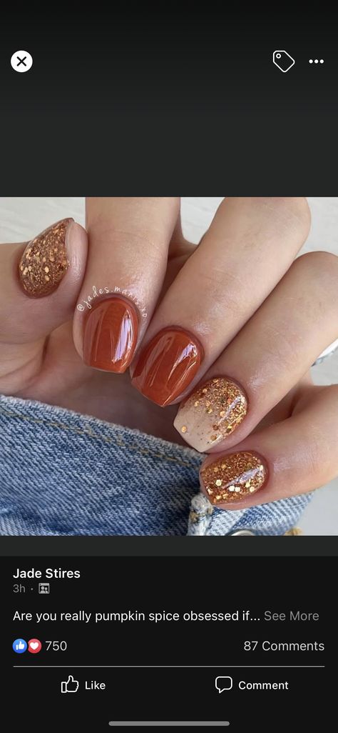 Thanksgiving Nails Solid Colors, Overlay Nails Fall Colors, Fall Nails Square Short French, Fall/christmas Nail Ideas, Orange Fall Nail Ideas, Fall Powder Dip Nails, Thanksgiving Nails Gel Short, Wine Nails Designs Burgundy, Thanksgiving Nail Art Designs