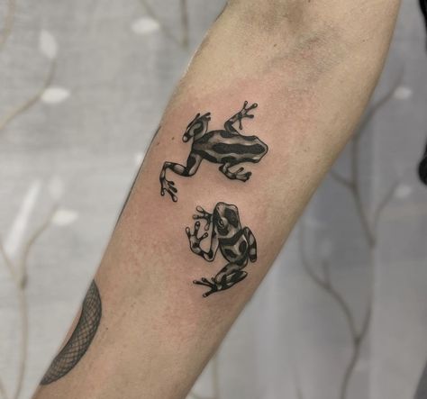 Animal Tattoos Realistic, Black And Grey Line Work Tattoo, Rainforest Frog Tattoo, Poison Dart Frog Tattoo Design, Small Critter Tattoo, Realistic Insect Tattoo, Dark Frog Tattoo, Black Squirrel Tattoo, Glass Frog Tattoo