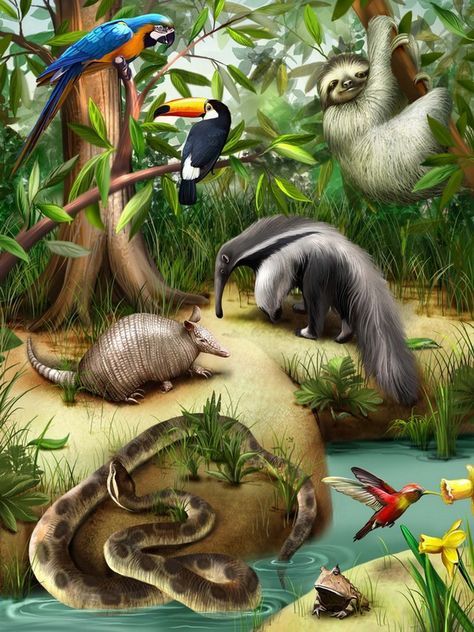 Animal In Jungle, Jungle With Animals, Wild Animals Drawing, Amazon Animals, In The Jungle, Animal Posters, Animal Wallpaper, Jungle Animals, Wildlife Art