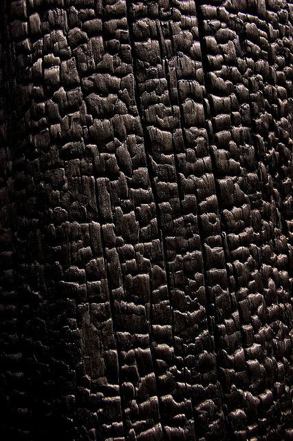 Burnt tree bark by Kouiskas, via Flickr Burnt Forest, Burnt Tree, Mary Poppins Musical, Tree Bark Texture, Ashes Series, Wood Bark, Burnt Wood, Texture Drawing, Frozen Charlotte