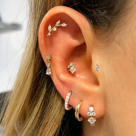 1PC Tragus Helix Piercing Earring for Women Helix Lobe Ear Cartilage Septum Piercing Zirconia Hoop Piercing Zirconia, Tragus Helix Piercing, Ear Piercing Ideas, Earring For Women, Septum Piercing, Helix Piercing, Tragus, Helix, Women's Earrings