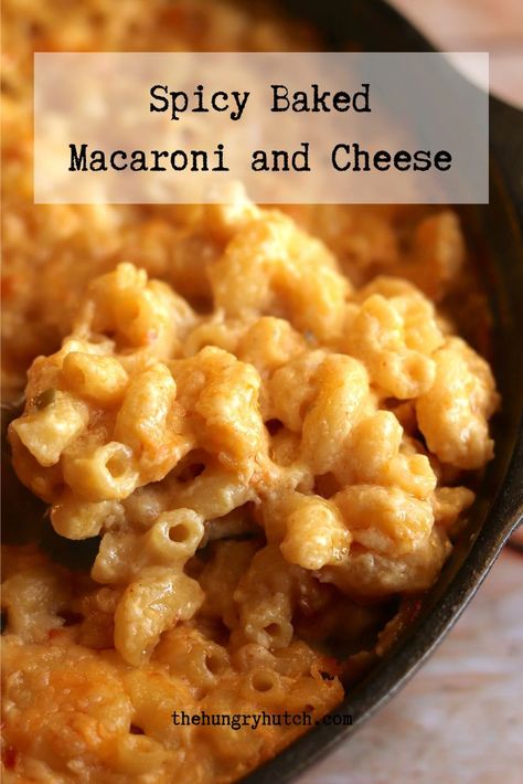 This spicy baked macaroni and cheese recipe uses habanero cheddar to bring some heat to this classic comfort food. Spicy Mac And Cheese Recipe, Pasta Entrees, Baked Macaroni And Cheese Recipe, Spicy Mac And Cheese, Baked Mac And Cheese Recipe, Baked Macaroni And Cheese, Macaroni Cheese Recipes, Macaroni And Cheese Recipe, Baked Mac N Cheese