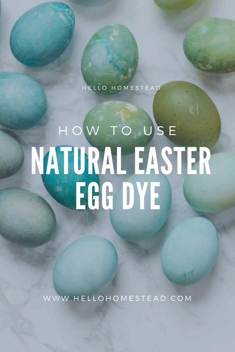 Easter is a time to celebrate the bounty of spring. What better way than to use fresh fruits and vegetables to dye your Easter eggs with your family? Natural Easter egg dye can give eggs unique coloring perfect for the holiday.  #eggs #easter #dye #eggdye #natural #DIY #diy Easter Eggs Natural Dye, Ways To Dye Easter Eggs, Natural Egg Dye, Color Eggs, Natural Easter Eggs, Naturally Dyed Easter Eggs, Egg Dye, Brown Eggs, Easter Egg Dye