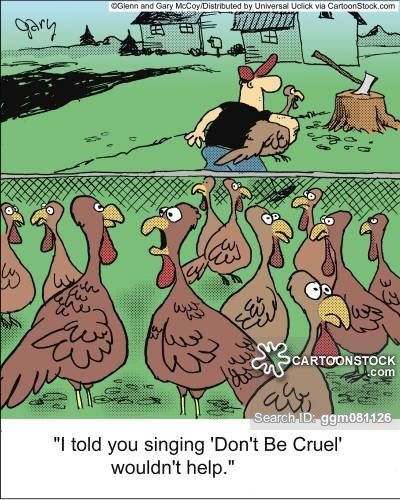 Thanksgiving Funnies, Turkey Jokes, Thanksgiving Humor, Turkey Cartoon, Thanksgiving Quotes Funny, Thanksgiving Jokes, Holiday Jokes, Comics Quote, Thanksgiving Cartoon