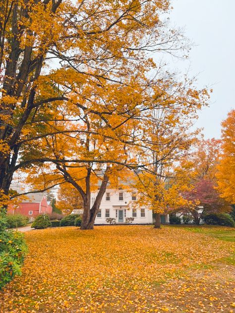 Ultimate 3-Day Connecticut Fall Foliage Road Trip Itinerary (New England Hidden Gem!) - Follow Me Away Connecticut Fall, Fall Foliage Road Trips, Birthday Vacation, Trip Itinerary, Road Trip Itinerary, Hidden Gem, Fall Foliage, 18th Birthday, Travel Itinerary