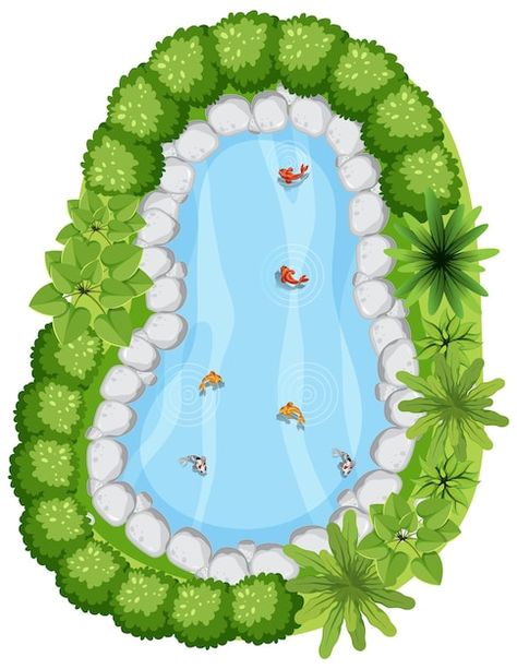 Free vector aerial view with many fishes... | Free Vector #Freepik #freevector #pond #lake #aerial-view #tree-top Fish Pond Illustration, Pond Birds Eye View, Pond Top View, Lake Top View, Fish Pond Drawing, Pond Clipart, Pond With Fish, Lake Drawing, Pond Drawing